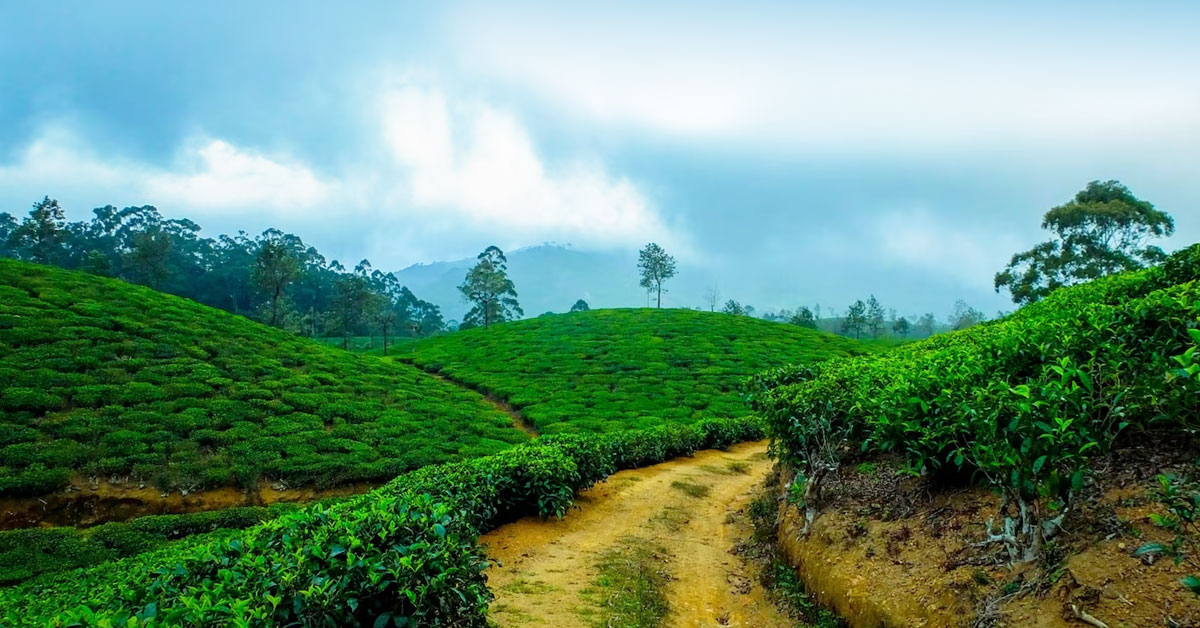 Beyond Borders A Global Odyssey of Discovery and Cultural Harmony