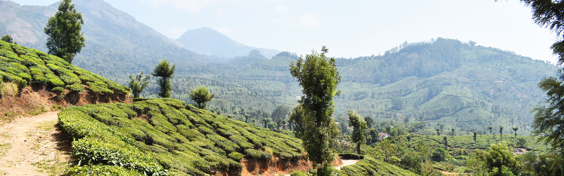 7 Days 6 Nights Kerala Tour