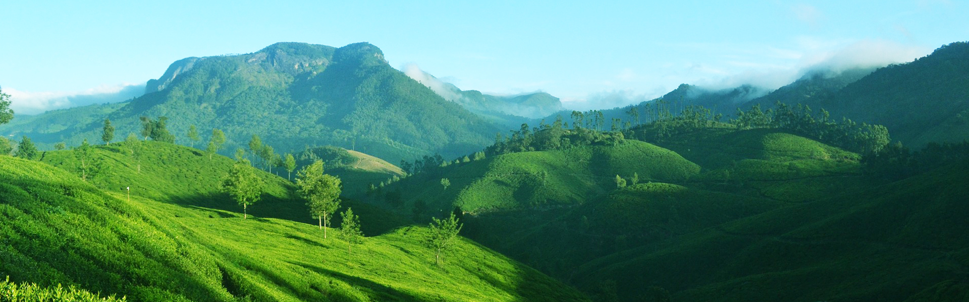 6 Days 5 Nights in Kerala