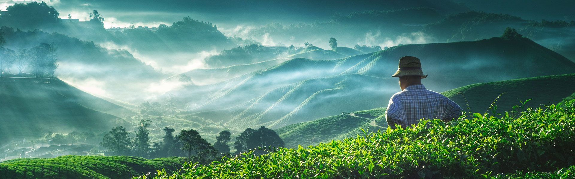 5 Nights 6 Days Malaysia Tour