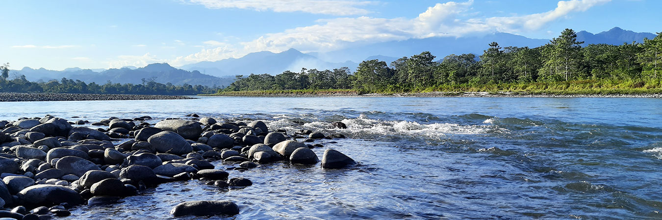 Nameri National Park