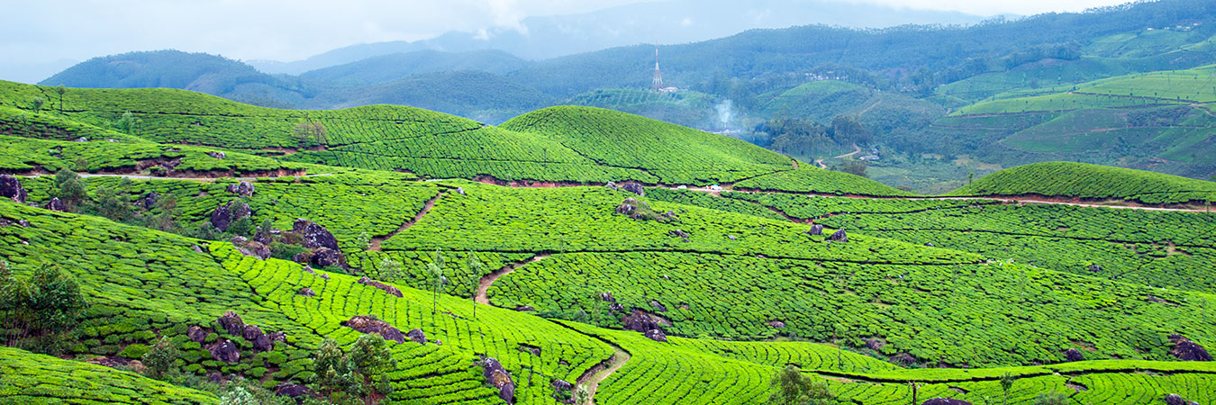 Munnar