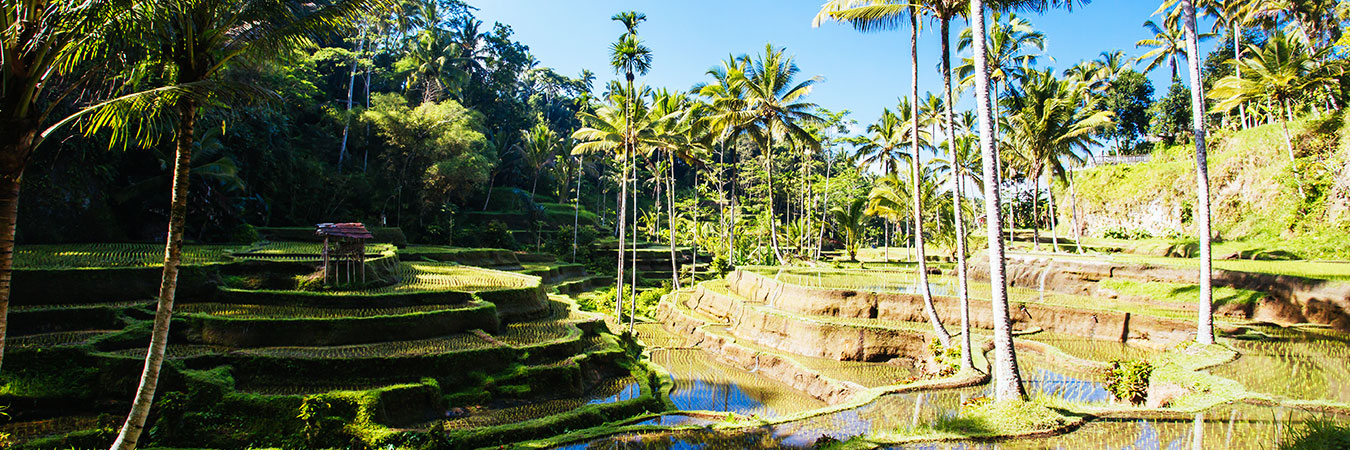 Ubud