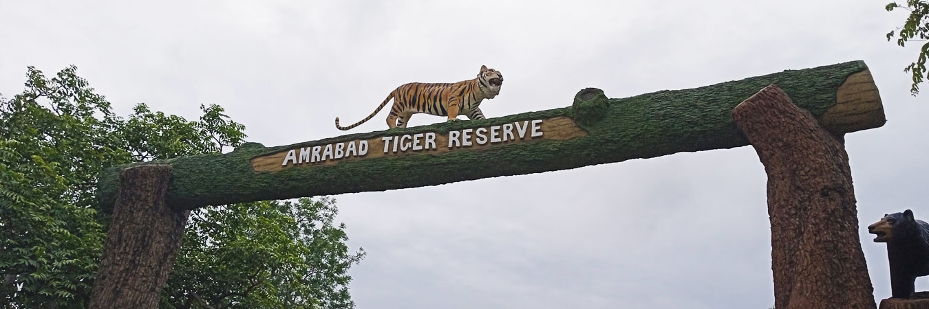 Amrabad Tiger Reserve