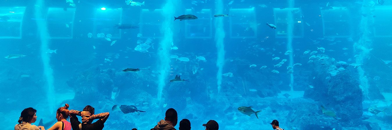 SEA Aquarium