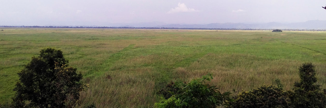 Keibul Lamjao National Park